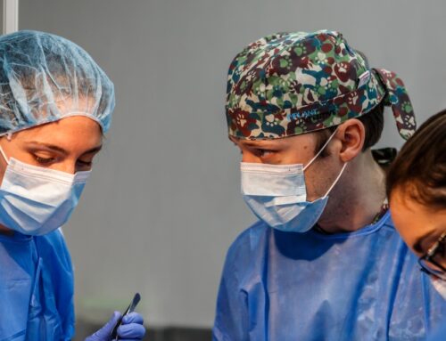 David Valero: “Implant Detective será una ayuda para los profesionales de la Odontología”